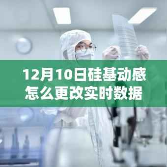 硅基動(dòng)感實(shí)時(shí)數(shù)據(jù)調(diào)整指南，12月10日操作詳解與實(shí)時(shí)數(shù)據(jù)更改教程