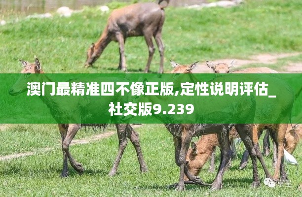 澳門最精準(zhǔn)四不像正版,定性說明評(píng)估_社交版9.239