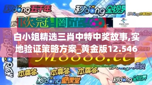 白小姐精選三肖中特中獎故事,實地驗證策略方案_黃金版12.546