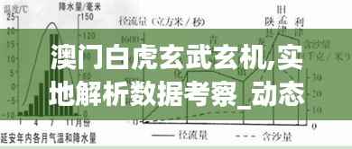 澳門(mén)白虎玄武玄機(jī),實(shí)地解析數(shù)據(jù)考察_動(dòng)態(tài)版3.790