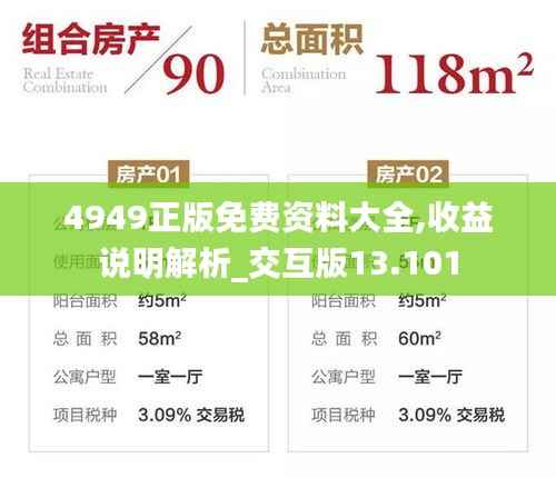 4949正版免費(fèi)資料大全,收益說明解析_交互版13.101