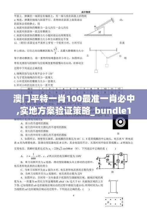 澳門平特一肖100最準一肖必中,實地方案驗證策略_bundle1.957