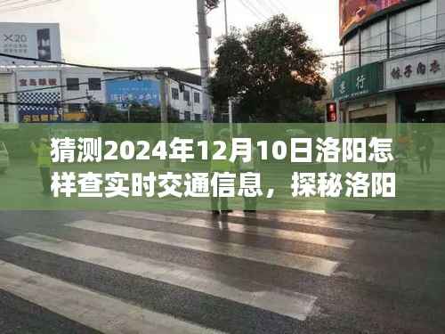 探秘洛陽小巷特色小店，2024年12月10日實時交通信息指南與交通查詢攻略