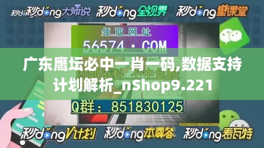 廣東鷹壇必中一肖一碼,數(shù)據(jù)支持計(jì)劃解析_nShop9.221