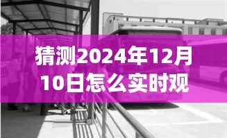 探秘公交追蹤之旅，2024年實(shí)時(shí)追蹤公交車與小巷特色小店的奇妙體驗(yàn)紀(jì)實(shí)