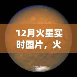 最新火星探測器圖片體驗報告，科技與生活的融合——火星實時觀測與圖片分享