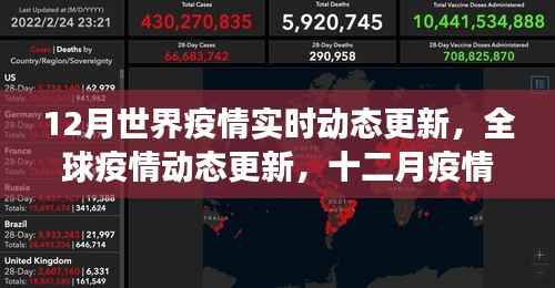 全球疫情動態(tài)更新，十二月下的世界面貌與影響洞察