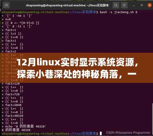 探索Linux資源實(shí)時(shí)顯示特色小店，十二月系統(tǒng)資源監(jiān)控與小巷深處的神秘角落