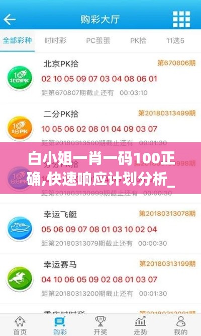 白小姐一肖一碼100正確,快速響應(yīng)計劃分析_領(lǐng)航款9.855