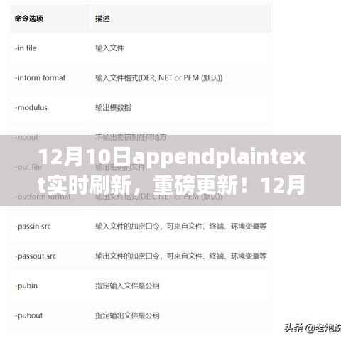 12月10日AppendPlainText實時刷新功能全新上線，實時更新，輕松管理文本內(nèi)容
