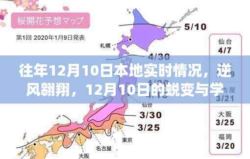 12月10日，逆風(fēng)翱翔與學(xué)習(xí)的力量——本地實(shí)時(shí)情況蛻變記