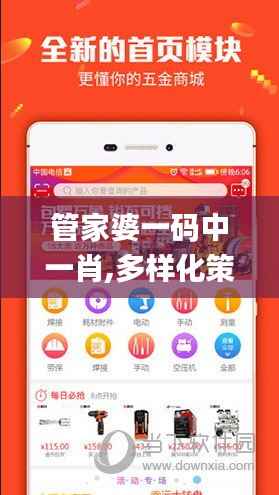 管家婆一碼中一肖,多樣化策略執(zhí)行_戰(zhàn)略版10.763