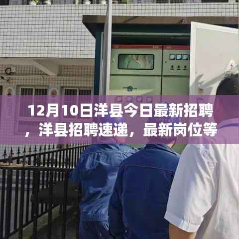 洋縣最新招聘速遞，12月10日崗位更新，挑戰(zhàn)你的職業(yè)夢(mèng)想