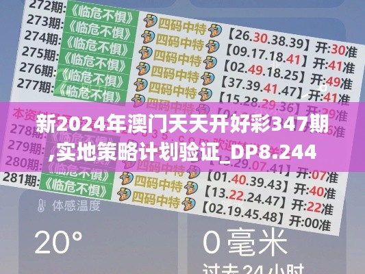 新2024年澳門天天開好彩347期,實地策略計劃驗證_DP8.244