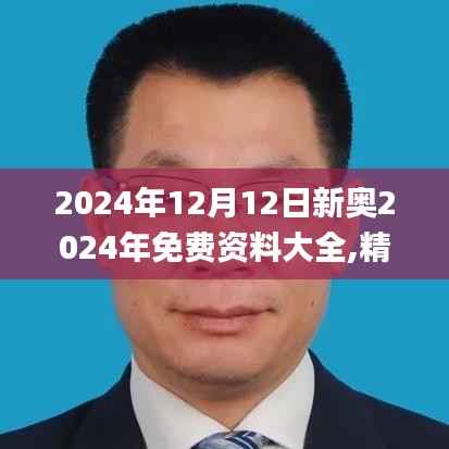 2024年12月12日新奧2024年免費資料大全,精細化策略定義探討_試用版6.733