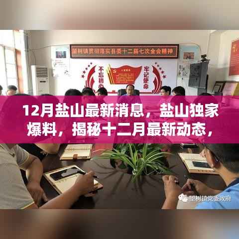 揭秘鹽山十二月最新動(dòng)態(tài)，獨(dú)家爆料，驚喜連連看！