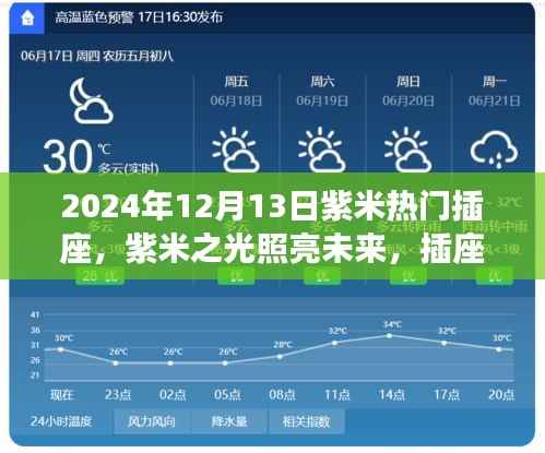 紫米插座背后的勵志故事與成長之路，照亮未來的紫米之光，熱門插座揭秘（2024年12月13日）