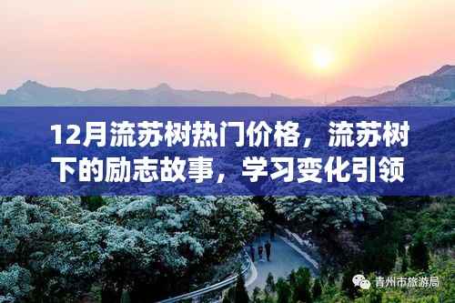 流蘇樹(shù)下的勵(lì)志故事，熱門價(jià)格引領(lǐng)自信與成就，照亮人生旅途