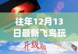 最新飛鳥(niǎo)玩具屋，探秘夢(mèng)幻樂(lè)園的獨(dú)家體驗(yàn)