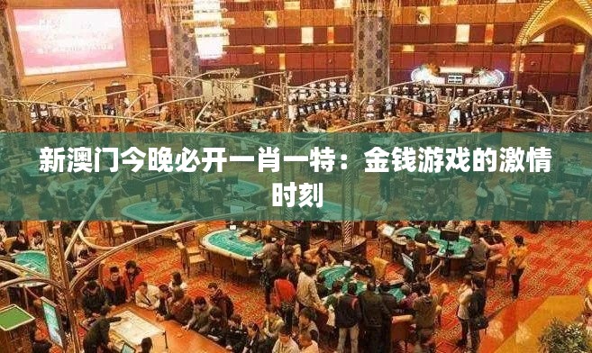 新澳門今晚必開一肖一特：金錢游戲的激情時刻