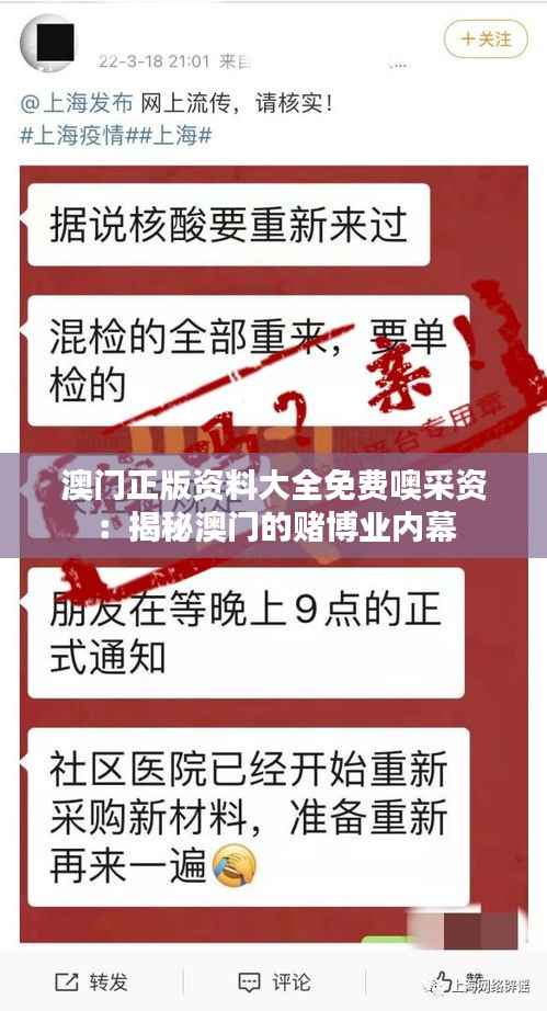 澳門正版資料大全免費(fèi)噢采資：揭秘澳門的賭博業(yè)內(nèi)幕