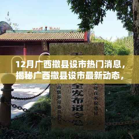 揭秘廣西撤縣設市最新動態(tài)，聚焦十二月熱門消息速遞