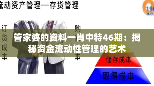 管家婆的資料一肖中特46期：揭秘資金流動性管理的藝術(shù)