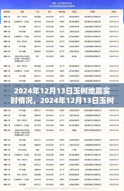 玉樹地震實(shí)時(shí)關(guān)注，共抗天災(zāi)，心系玉樹——最新地震動態(tài)報(bào)告（2024年12月13日）