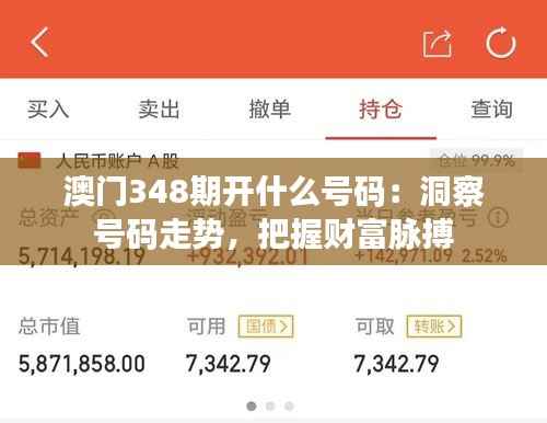 澳門348期開什么號碼：洞察號碼走勢，把握財富脈搏