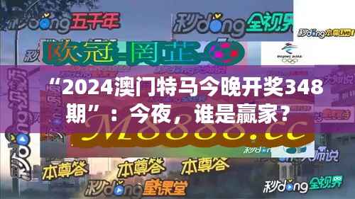 “2024澳門特馬今晚開獎348期”：今夜，誰是贏家？