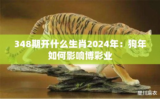 348期開什么生肖2024年：狗年如何影響博彩業(yè)