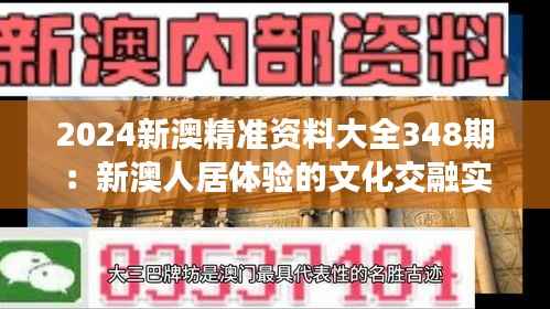 2024新澳精準(zhǔn)資料大全348期：新澳人居體驗(yàn)的文化交融實(shí)例