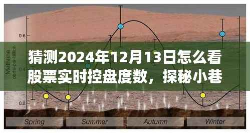 探秘股票控盤奧秘，預(yù)見未來股市風(fēng)向標(biāo)之旅，實(shí)時(shí)掌握股票控盤度數(shù)揭秘特色小店的股市預(yù)測(cè)之旅（2024年12月13日）