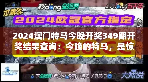2024澳門特馬今晚開獎349期開獎結果查詢：今晚的特馬，是驚喜還是失望？