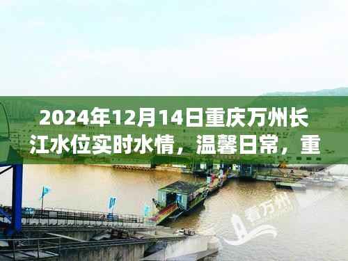重慶萬州長江水位實(shí)時更新與河畔的溫馨日常及深厚友情