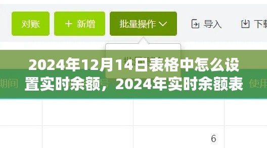 2024年實時余額表格設置詳解，操作指南與觀點分析