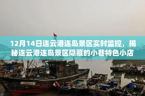 揭秘連云港連島景區(qū)隱藏小巷特色小店，實(shí)時(shí)探秘之旅（12月14日）