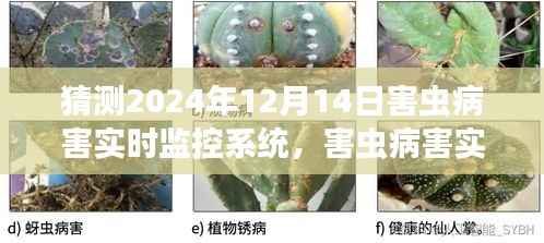 2024年害蟲(chóng)病害實(shí)時(shí)監(jiān)控系統(tǒng)的展望與預(yù)測(cè)，未來(lái)趨勢(shì)及技術(shù)創(chuàng)新