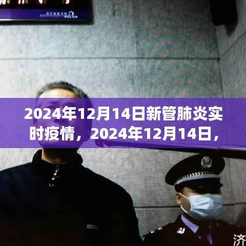 2024年12月14日新管肺炎實(shí)時(shí)觀察與深度解析，疫情動(dòng)態(tài)及應(yīng)對(duì)策略