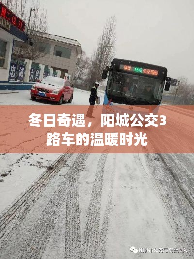 冬日奇遇，陽(yáng)城公交3路車的溫暖之旅