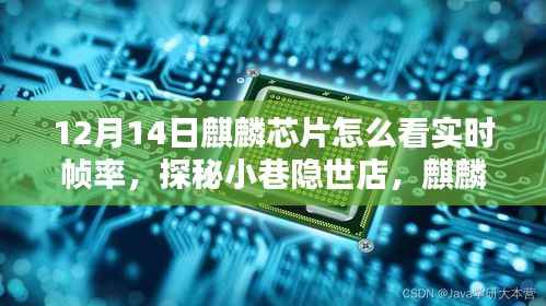 麒麟芯片下的實時幀率魔法，探秘小巷隱世店，12月14日實時幀率全解析