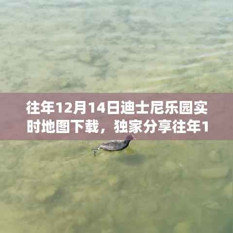 獨家攻略，往年12月14日迪士尼樂園實時地圖下載指南，暢游夢幻樂園不迷路！