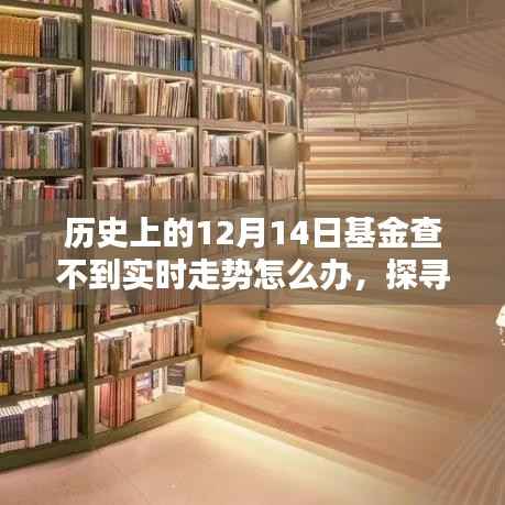 應對基金實時走勢缺失，探尋歷史迷霧中的應對之道在基金查不到實時走勢的12月14日