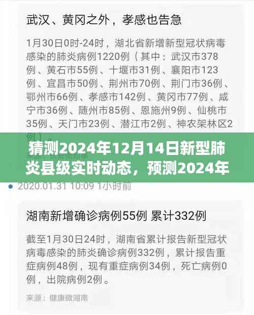 2024年12月14日新型肺炎縣級實時動態(tài)展望，預(yù)測與猜測返回搜狐查看更多信息