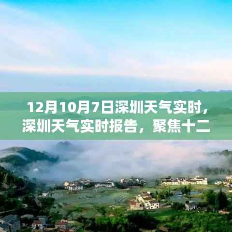 深圳天氣實時報告，聚焦十二月七日的氣候特點與變化