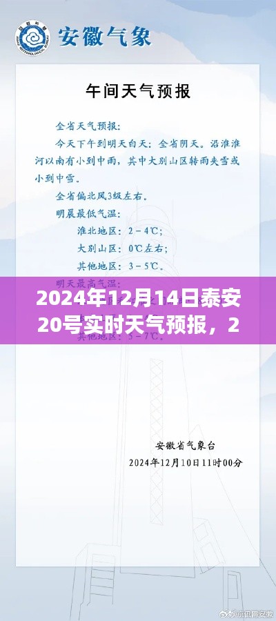 泰安天氣預(yù)報詳解，氣象分析與生活建議（2024年12月14日）