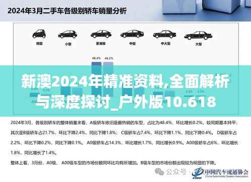 新澳2024年精準(zhǔn)資料,全面解析與深度探討_戶外版10.618