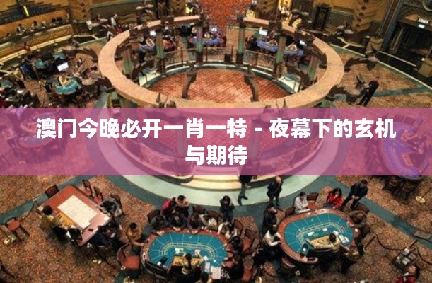 澳門今晚必開一肖一特 - 夜幕下的玄機與期待