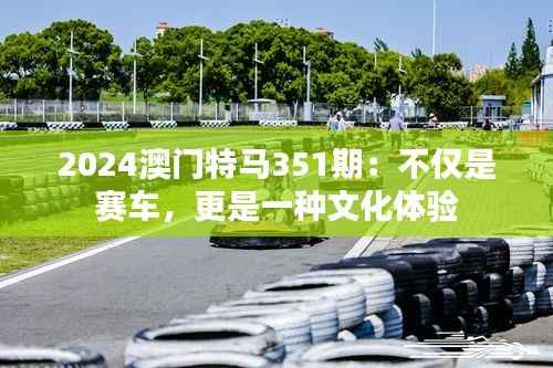 2024澳門特馬351期：不僅是賽車，更是一種文化體驗