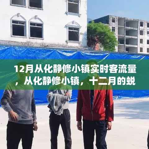 12月從化靜修小鎮(zhèn)實(shí)時(shí)客流量揭秘，蛻變與重塑之旅的勵(lì)志故事